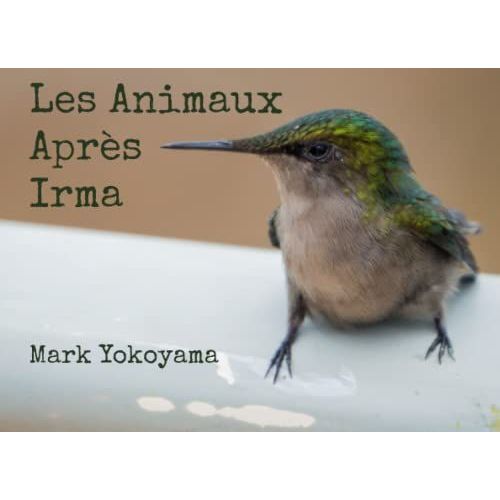 Les Animaux Aprs Irma