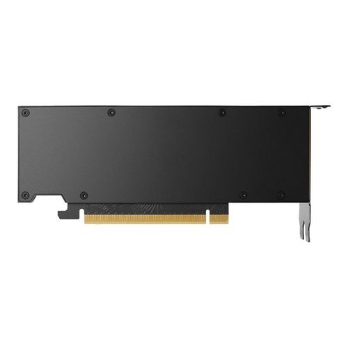 NVIDIA RTX 4000 SFF Ada Generation - Carte graphique - RTX 4000 Ada - 20 Go GDDR6 - PCIe 4.0 x16 - 4 x DisplayPort