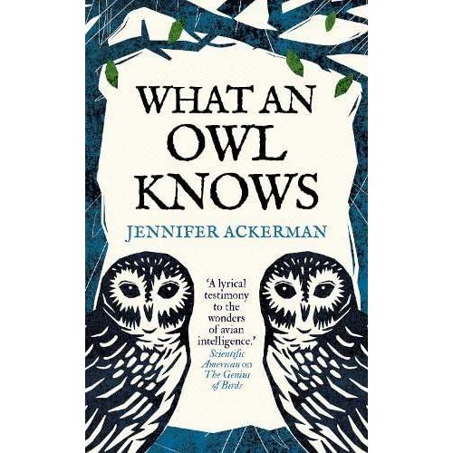 What An Owl Knows