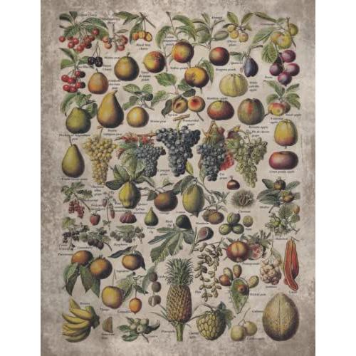 Vintage Fruits And Nuts Large Graph Paper Notebook: Vintage Fruits And Nuts Print, Field Note, Grid Paper Notebook, Graph Paper For Mapping, 4 X 4, 4 ... Large, Vintage Fruits And Nuts Notebook Gift