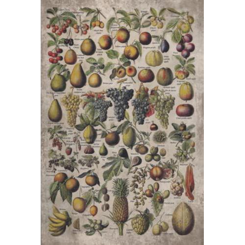 Vintage Fruits And Nuts Graph Paper Notebook: Vintage Fruits And Nuts Print, Field Note, Grid Paper Notebook, Graph Paper For Mapping, 4 X 4, 4 ... Gift, Gift For Fruits And Nuts Lovers