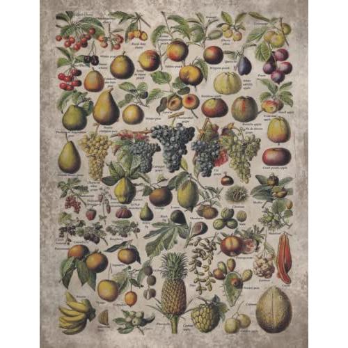 Vintage Fruits And Nuts Sketchbook: Vintage Fruits And Nuts Print, Sketchbook Journal Blank, White Paper, For Drawing And Sketching, For Adult, For ... Gift, Gift For Fruits And Nuts Lovers