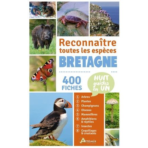 Reconnaître Toutes Les Espèces Bretagne