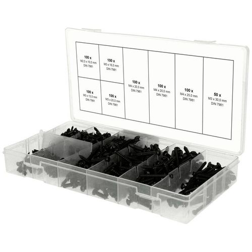 KS TOOLS Werkzeuge-Maschinen GmbH Assortiment de vis à tôle à tête cylindrique, M2,5-M3, 750 pcs (970.0800)