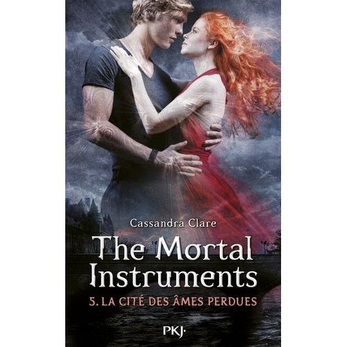 The Mortal Instruments - La Cité Des Ténébres - Tome 5 - La Cité Des Âmes Perdues