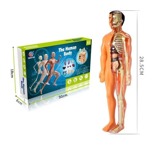 As814 - Kit De Jouets De Médecin Pour Enfants, Ensemble Médical Pour Enfants, Ensemble De Jeu Avec Stéthoscope, Dentiste Et Infirmière, Tout-Petit De 3 Ans Et Plus