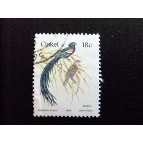 48 Ciskei 1989 / Fauna Pajaro Oiseau / Yvert 157 Fu