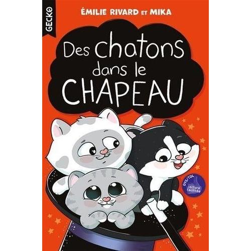 Des Chatons Dans Le Chapeau