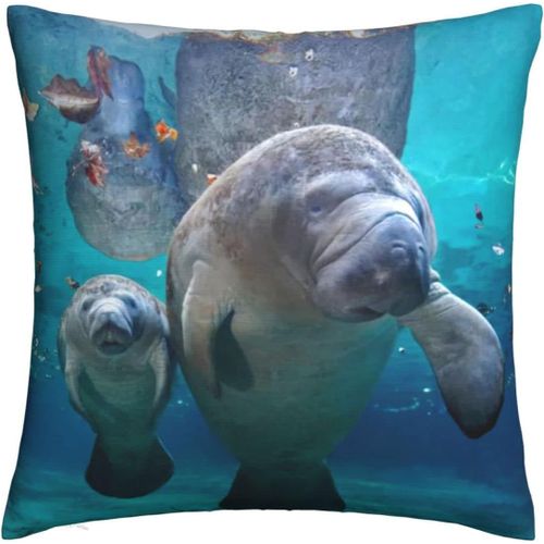 Housse De Coussin Noire En Forme De Tête De Mort, Taie D'oreiller Décorative Pour Décoration De Ferme, Décoration De Vacances, Décoration De Canapé, Décoration D'intérieur, Lamant