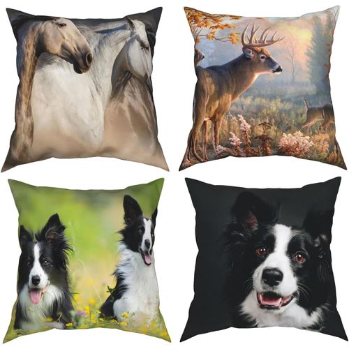 Border Collie Smiles Happy Dog Housse De Coussin Décorative Taie D'oreiller Carrée Pour La Maison, Canapé, Chambre À Coucher, Salon Noir