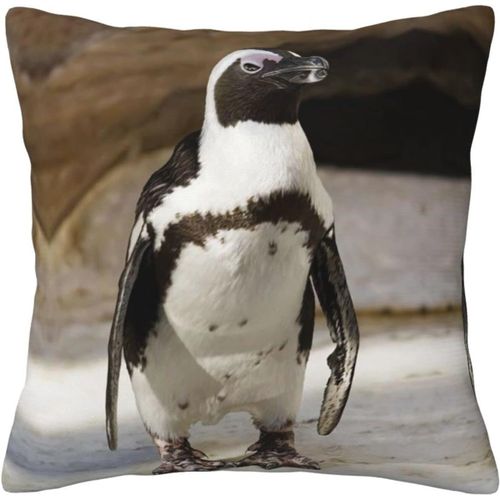 Housse De Taie D'oreiller Pingouin Africain, Taie D'oreiller Décorative En Coton Imprimé, Protection Pour Chambre, Canapé, Noir