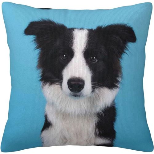 Housse De Taie D'oreiller Border Collie, Décorative, Imprimée, Pour Chambre Et Canapé, Cmxcm