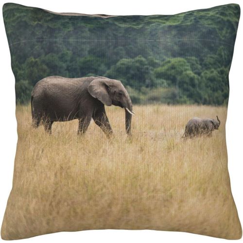Housse De Taie D'oreiller En Forme D'éléphant, Taie D'oreiller Décorative Imprimée Pour Chambre Et Canapé Cmxcm