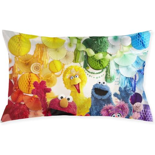 Taie D'oreiller Sesame Street, Taie D'oreiller Carrée Pour Canapé, Décoration De La Maison, Housse De Coussin 20 Pouces 30 Pouces