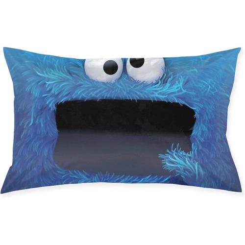 Taie D'oreiller Sesame Street, Taie D'oreiller Carrée Pour Canapé, Décoration De La Maison, Housse De Coussin 20 Pouces 30 Pouces