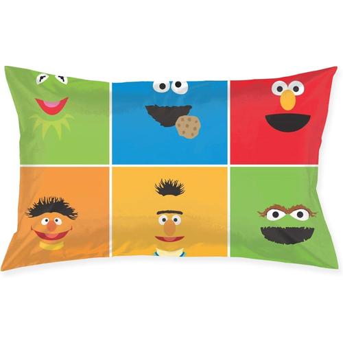 Taie D'oreiller Sesame Street, Taie D'oreiller Carrée Pour Canapé, Décoration De La Maison, Housse De Coussin 20 Pouces 30 Pouces