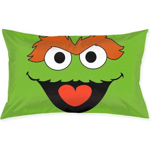 Taie D'oreiller Sesame Street, Taie D'oreiller Carrée Pour Canapé, Décoration De La Maison, Housse De Coussin 20 Pouces 30 Pouces