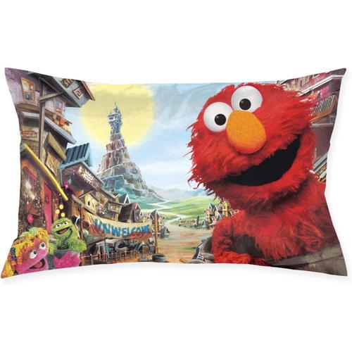 Taie D'oreiller Sesame Street, Taie D'oreiller Carrée Pour Canapé, Décoration De La Maison, Housse De Coussin 20 Pouces 30 Pouces