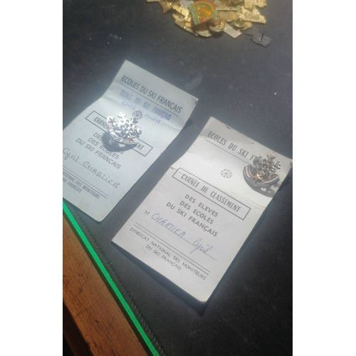 Lot 2 Insignes Badges Flocons Esf École De Ski Français