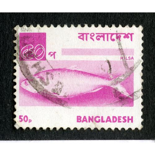 Timbre Oblitéré Bangladesh, Hilsa, 50 P
