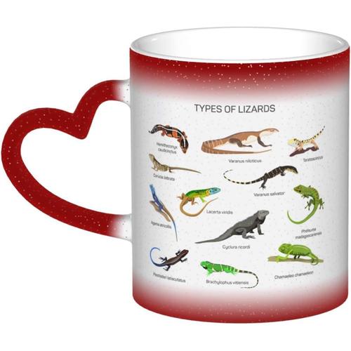 Tasse A Changement De Couleur Differents Types De Tasse A Cafe En Ceramique De Lezard Tasse De Personnalite Pour Femmes Hommes Cadeau 11 Oz