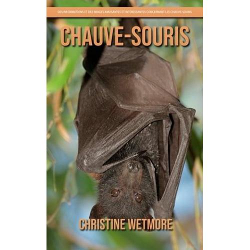 Chauve-Souris - Des Informations Et Des Images Amusantes Et Intéressantes Concernant Les Chauve-Souris