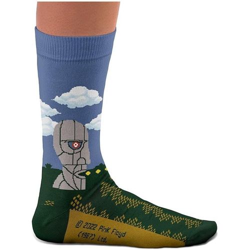 The Division Bell,Pink Floyd Unisex Socks For Men And Women,Fun And Cool