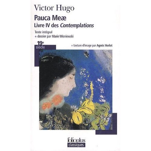 Pauca Meae - Livre Iv Des Contemplations