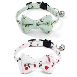 Pack Breakaway Collier Chat Imprimé D'été Pour Votre Félin