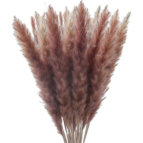 30 pièces herbe de la pampa, fleurs séchées de plumes de roseau naturel pour décor rustique et ferme, 17 pouces vraies plumes de contact