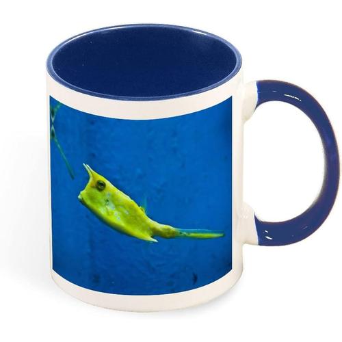 Tasse A Cafe Couleur Ocean, Animal Mignon, Beau Poisson, Tasse En Ceramique De 330ml, Cadeau De Sante Pour Pere, Mere Et Amis