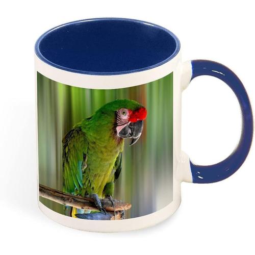Tasse A Cafe De Jolie Couleur, Animal Oiseau Perroquet Mignon, Tasse En Ceramique De 330ml, Cadeau De Sante Pour Pere Mere Amis