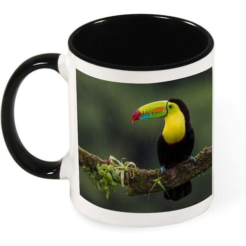 Tasse A Cafe De Jolie Couleur, Animal Oiseau Perroquet Mignon, Tasse En Ceramique De 330ml, Cadeau De Sante Pour Pere Mere Amis