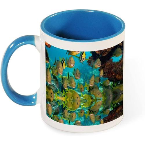 Tasse A Cafe Couleur Ocean, Animal Mignon, Beau Poisson, Tasse En Ceramique De 330ml, Cadeau De Sante Pour Pere, Mere Et Amis