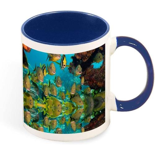 Tasse A Cafe Couleur Ocean, Animal Mignon, Beau Poisson, Tasse En Ceramique De 330ml, Cadeau De Sante Pour Pere, Mere Et Amis