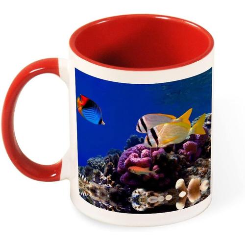 Tasse A Cafe Couleur Ocean, Animal Mignon, Beau Poisson, Tasse En Ceramique De 330ml, Cadeau De Sante Pour Pere, Mere Et Amis