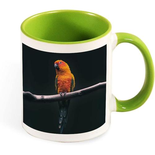 Tasse A Cafe De Jolie Couleur, Animal Oiseau Perroquet Mignon, Tasse En Ceramique De 330ml, Cadeau De Sante Pour Pere Mere Amis