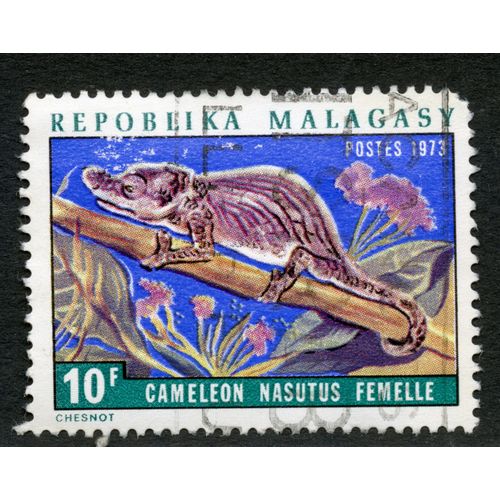 Timbre Oblitéré Repoblika Malagasy, Caméléon Nasutus Femelle, Postes 1973, 10 F