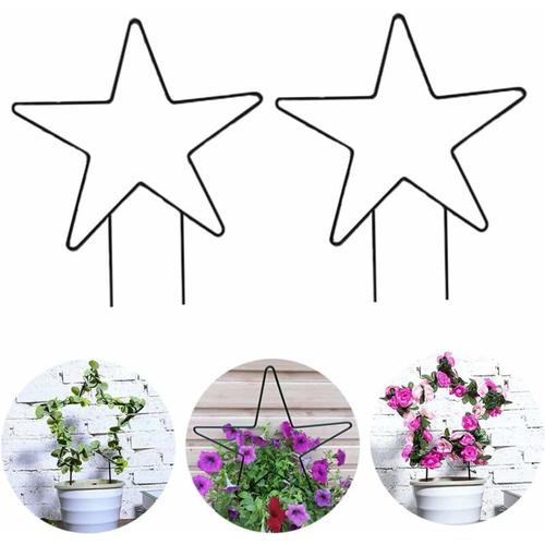 Soutien Aux Plantes Start Star Forme Classe Jardi Support Plante Cage Cage De Forme De Cadre Pour Jardin Stem 2pcs,Starlight