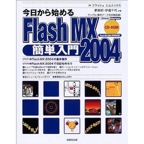 Flash Mx 2004