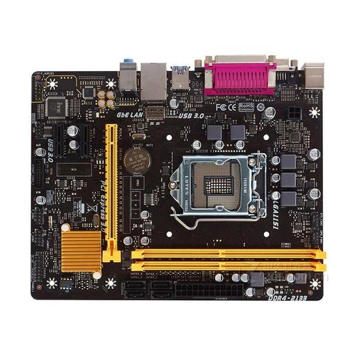 Carte mère Biostar H110MDS2 PRO D4 Intel H110 LGA 1151 DDR4 32GB Micro ATX