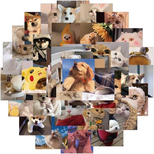 Ershi-48pcs Mignons Chat Et Chien Autocollants En Vinyle Pour Bouteilles D'eau Gobelet Bagages Planche À Roulettes Pare-Chocs Scra[1