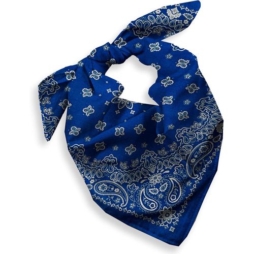 Ershi-1 Pack Cotton Bandana For Women Men Gift Packaging - Cowgirl Cowboy Accessory Headband Scarf Neckerchief - Large Paisley Hai[2