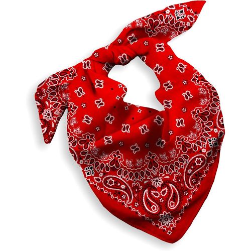 Ershi-1 Pack Cotton Bandana For Women Men Gift Packaging - Cowgirl Cowboy Accessory Headband Scarf Neckerchief - Large Paisley Hai[4