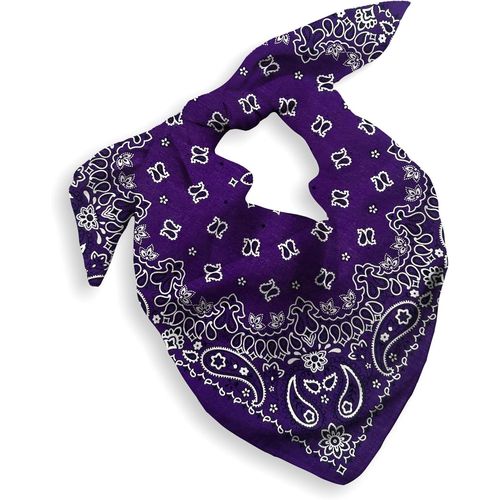 Ershi-1 Pack Cotton Bandana For Women Men Gift Packaging - Cowgirl Cowboy Accessory Headband Scarf Neckerchief - Large Paisley Hai[4