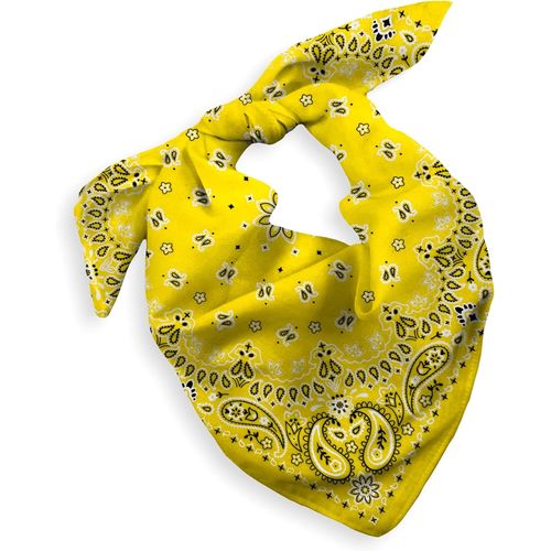 Ershi-1 Pack Cotton Bandana For Women Men Gift Packaging - Cowgirl Cowboy Accessory Headband Scarf Neckerchief - Large Paisley Hai[4