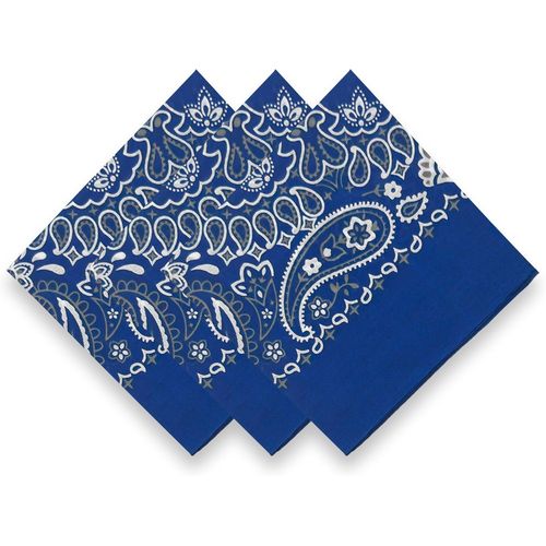 Ershi-3 Pack 100% Cotton Bandana For Women Men Gift Packaging - Cowgirl Cowboy Accessories Scarf Headband Neckerchief - Large Pais[5