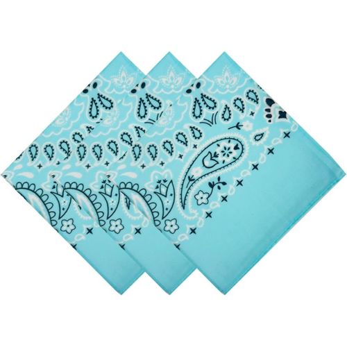 Ershi-3 Pack 100% Cotton Bandana For Women Men Gift Packaging - Cowgirl Cowboy Accessories Scarf Headband Neckerchief - Large Pais[5