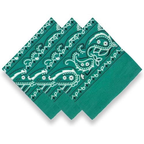 Ershi-3 Pack 100% Cotton Bandana For Women Men Gift Packaging - Cowgirl Cowboy Accessories Scarf Headband Neckerchief - Large Pais[4