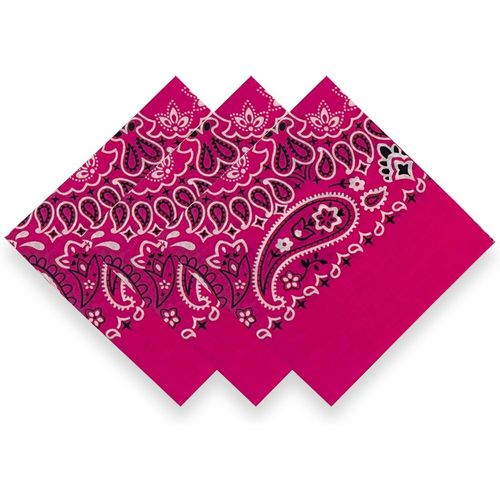 Ershi-3 Pack 100% Cotton Bandana For Women Men Gift Packaging - Cowgirl Cowboy Accessories Scarf Headband Neckerchief - Large Pais[5